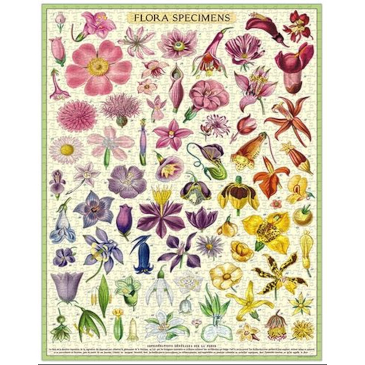 Cavallini & Co 1000 Piece Puzzle